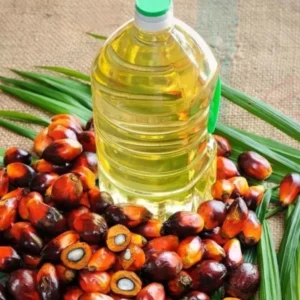 Palm Kernel Oil