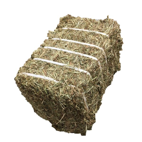 Timothy Hay Animal Feeding Stuff Timothy, hay/alfalfa hay pellets Timothy Hay/ Alfalfa in Bales Best Super Top Quality